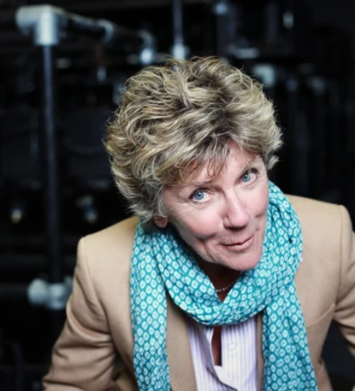 Career and Professional Journey